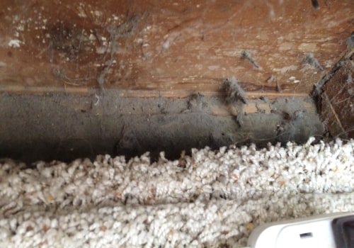 Can Cleaning House Air Ducts Stop a Dust Allergy?